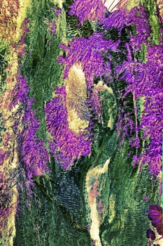 N 135B